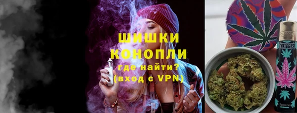 гашик Краснослободск
