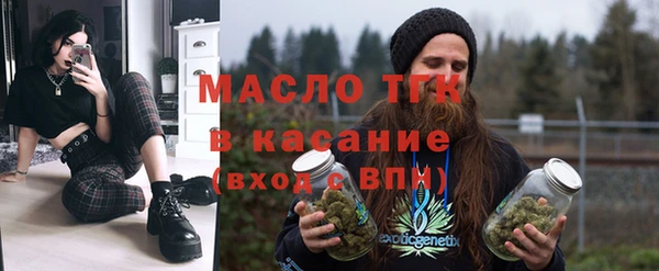 гашик Краснослободск