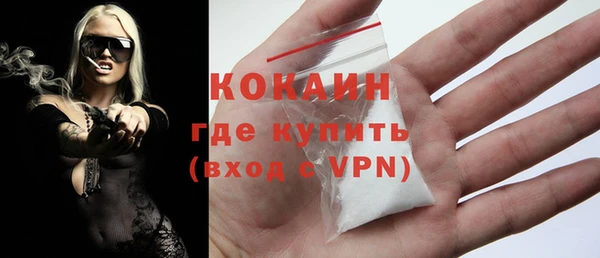 гашик Краснослободск