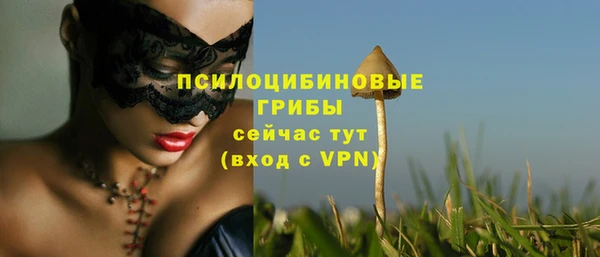 ALPHA-PVP Кукмор