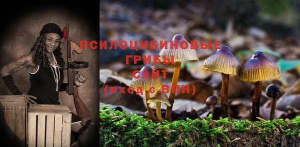 твердый Краснотурьинск