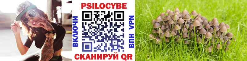 Галлюциногенные грибы GOLDEN TEACHER  наркота  Щучье 